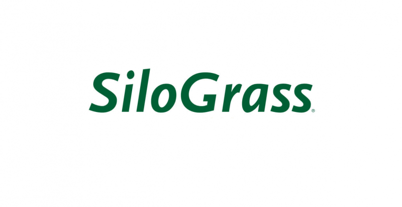 silograss_solo_2.png